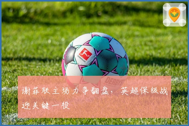 谢菲联主场力争翻盘，英超保级战迎关键一役