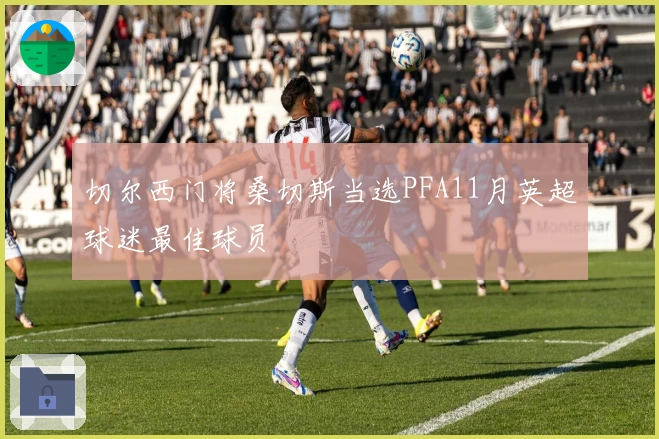 切尔西门将桑切斯当选PFA11月英超球迷最佳球员